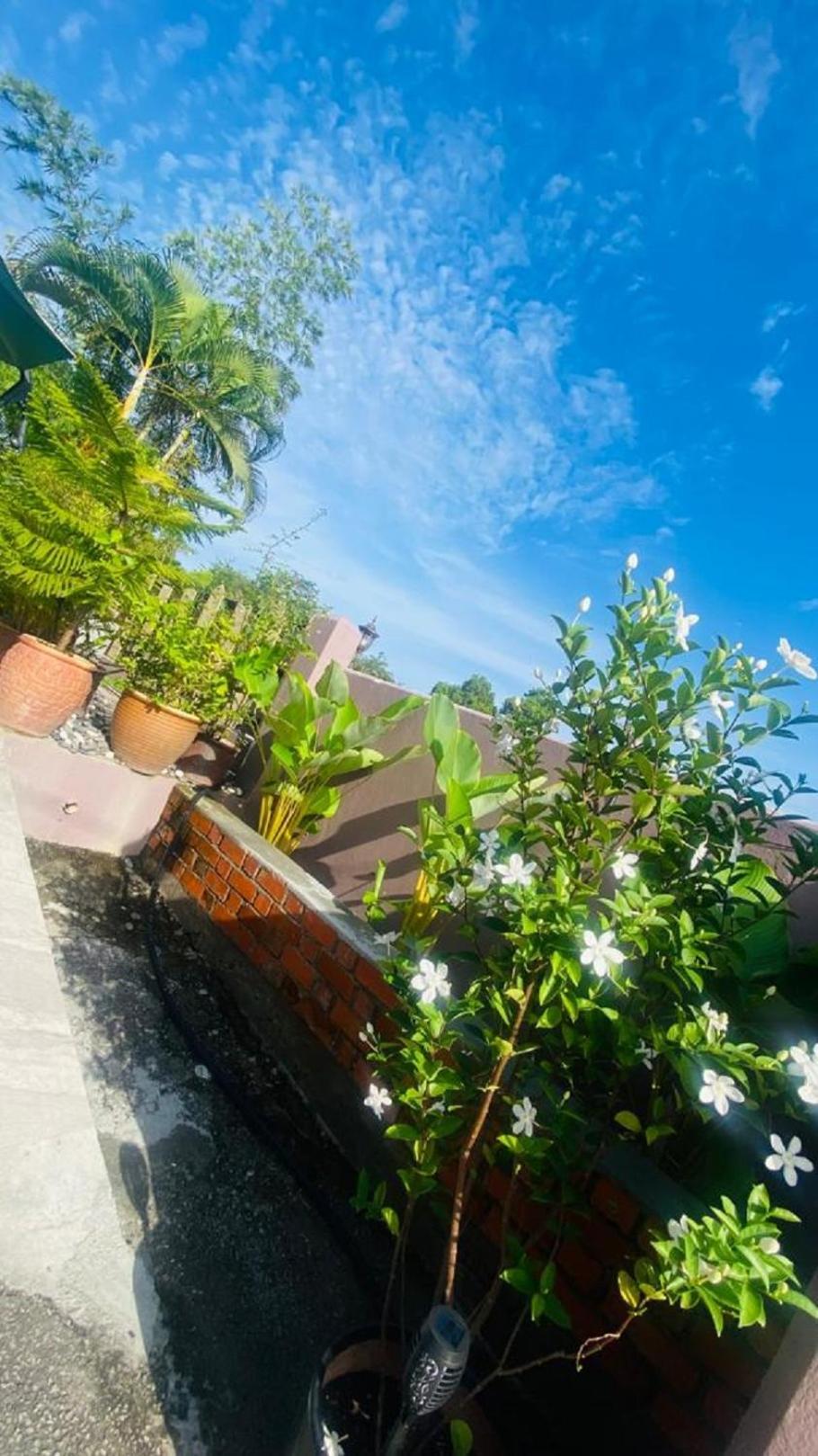 Motel Seri Mutiara Kuah Buitenkant foto